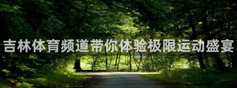 飞球直播安装入口：吉林体育频道带你体验极限运动盛宴