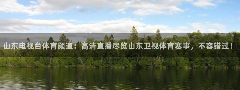 飞球直播体育：山东电视台体育频道：高清直播尽览山东卫视体育赛事，不容错过！