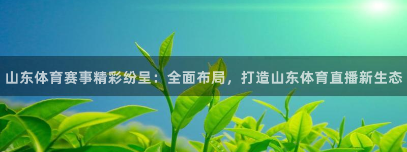飞球直播体育在线观看：山东体育赛事精彩纷呈：全面布局，打造山东体育直播新生态