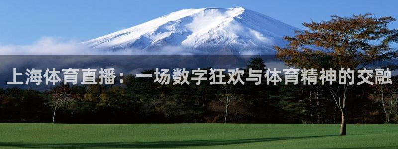 飞球直播nba免费观看直播在线：上海体育直播：一场数字狂欢与体育精神的交融