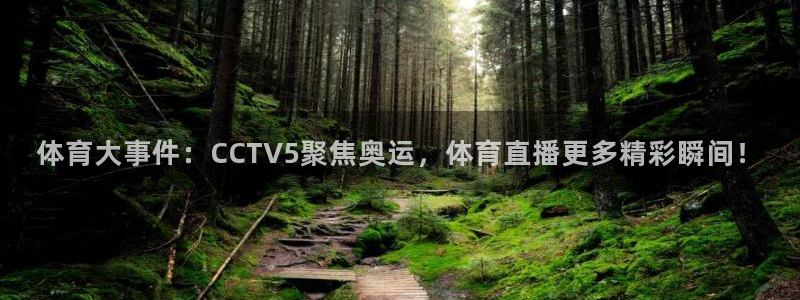 飞球直播app免费版：体育大事件：CCTV5聚焦奥运，体育直播更多精彩瞬间！