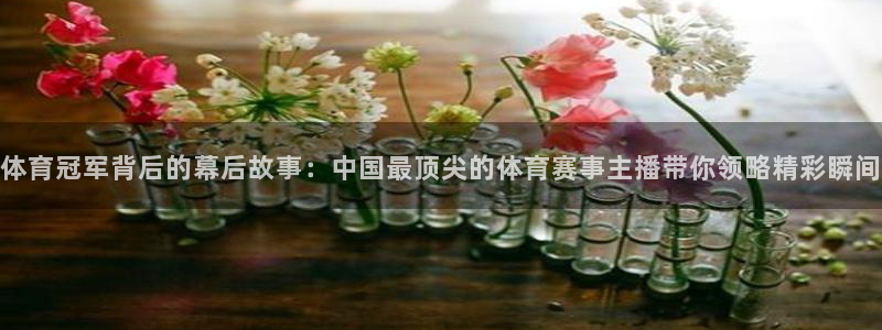 飞球直播官网下载：体育冠军背后的幕后故事：中国最顶尖的体育赛事主播带你领略精彩瞬间