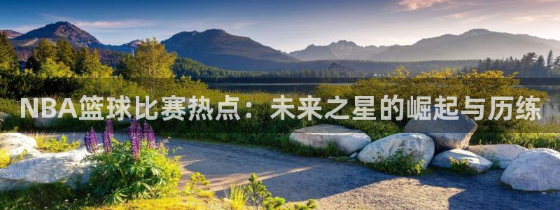 飞球直播安卓版免费下载：NBA篮球比赛热点：未来之星的崛起与历练