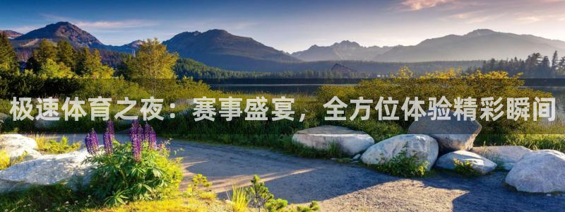 飞球直播ufc：极速体育之夜：赛事盛宴，全方位体验精彩瞬间