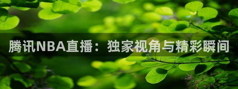 飞球直播app下载安装：腾讯NBA直播：独家视角与精彩瞬间