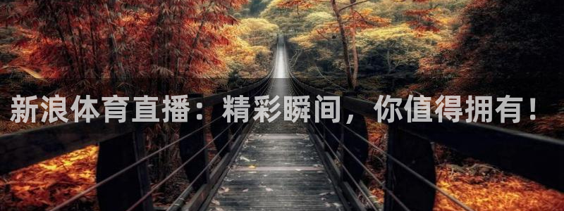 飞球直播体育