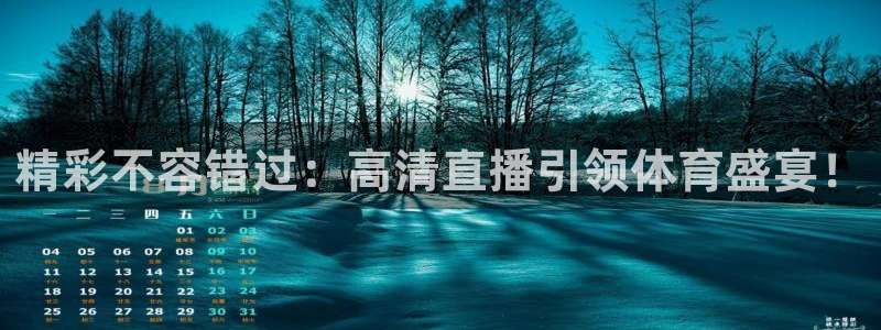 飞球直播软件下载